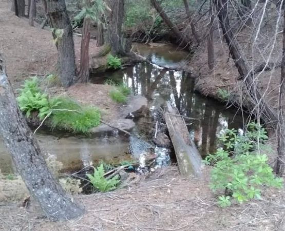 Little Jackass Campground