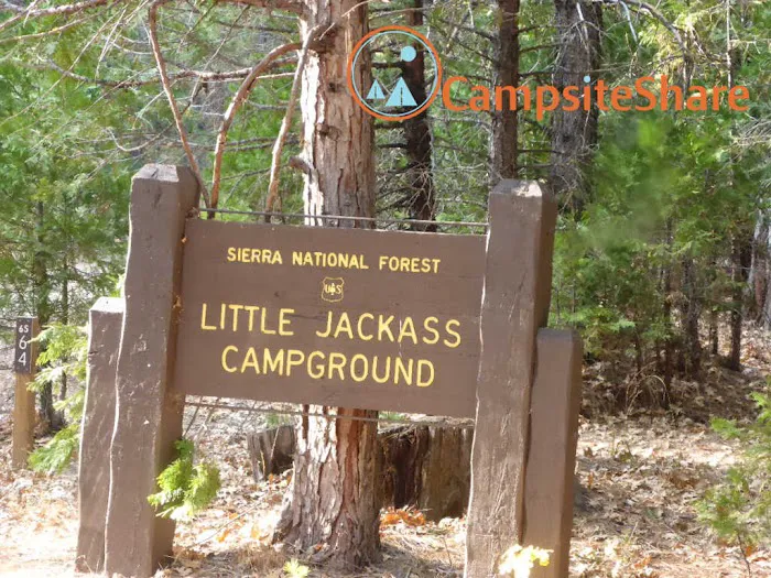 Little Jackass Campground 4