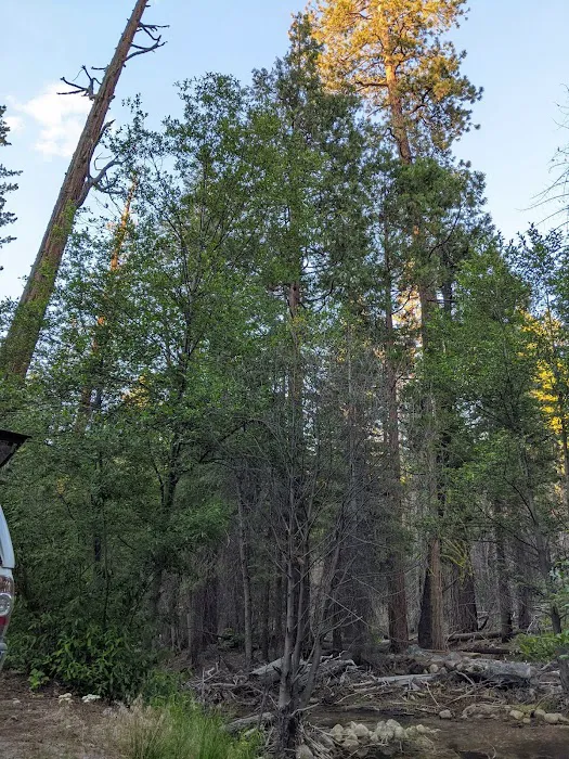 West Kaiser Campground 0