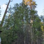 West Kaiser Campground