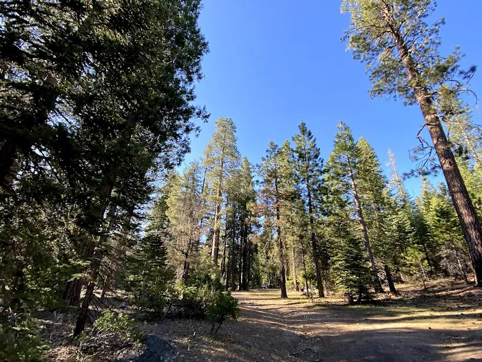 West Kaiser Campground 6