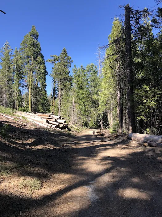 Whisky Falls Campground 0