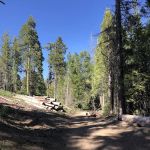 Whisky Falls Campground