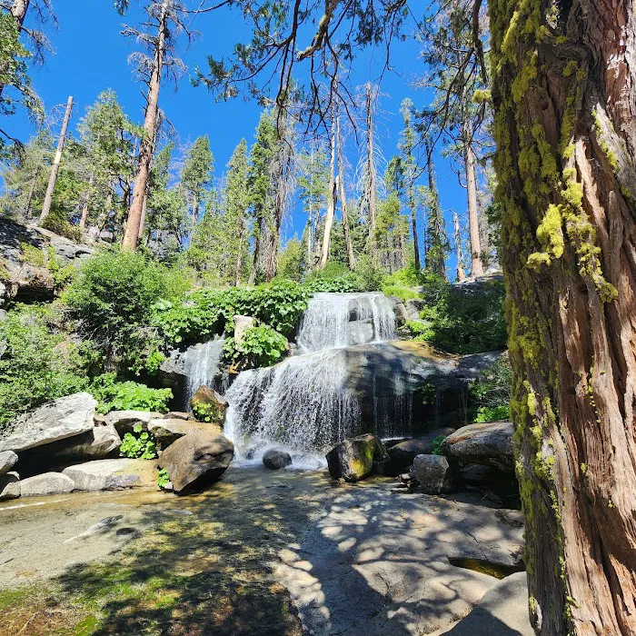 Whisky Falls Campground 9