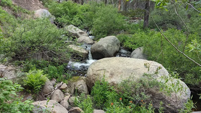 Lower Billy Creek Campground 4