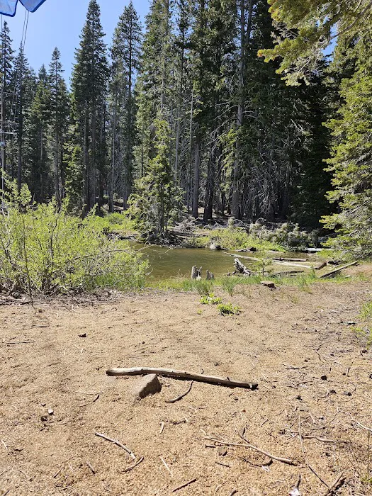 Lower Billy Creek Campground 9