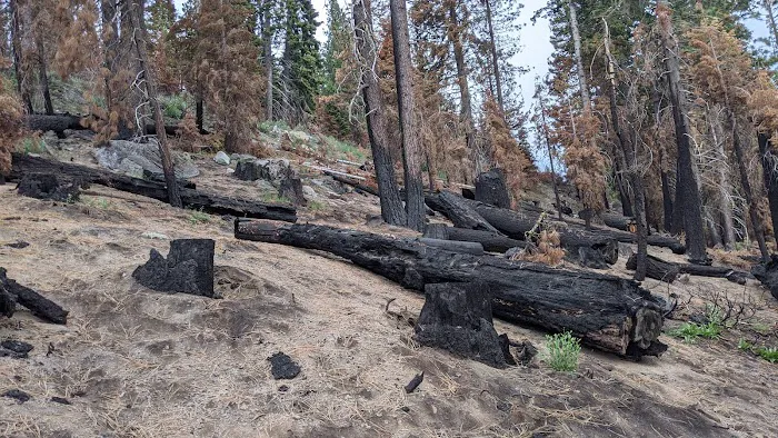 Lower Billy Creek Campground 2