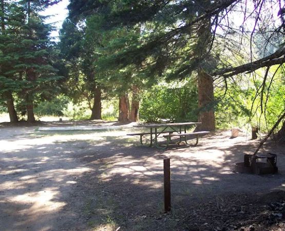 Whiskers Campground