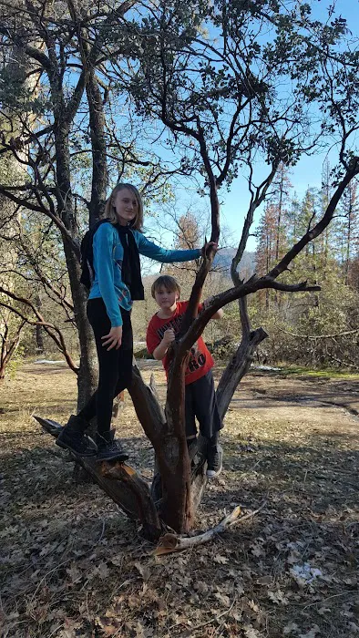 Crane Valley Group Campground 1