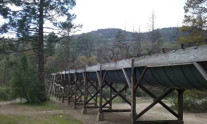 PSEA Camp Wishon 3