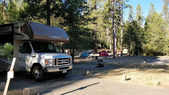 Lupine Campground 6