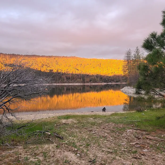 Lupine Campground 8