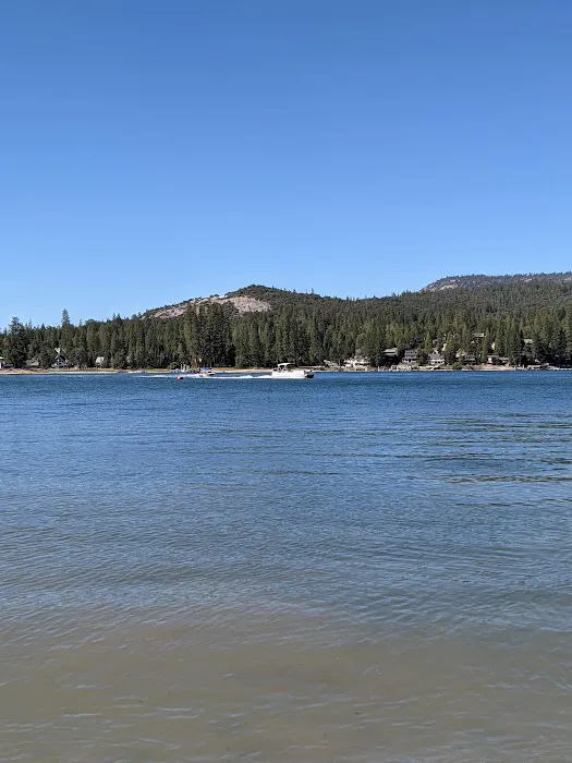 Lupine Campground 9