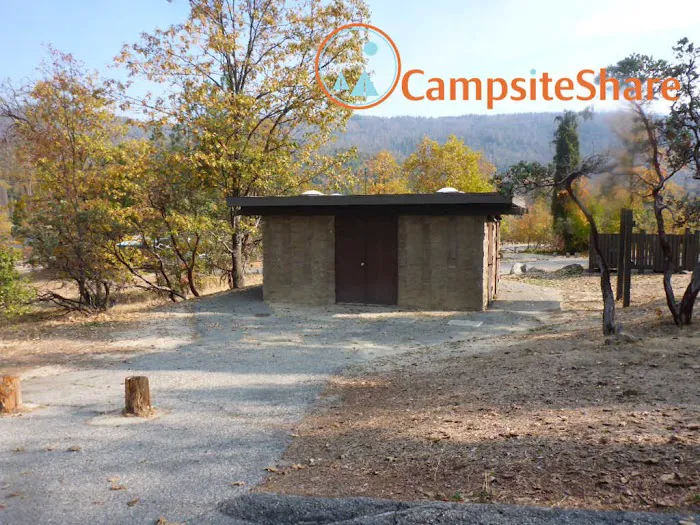 Lupine Campground 4