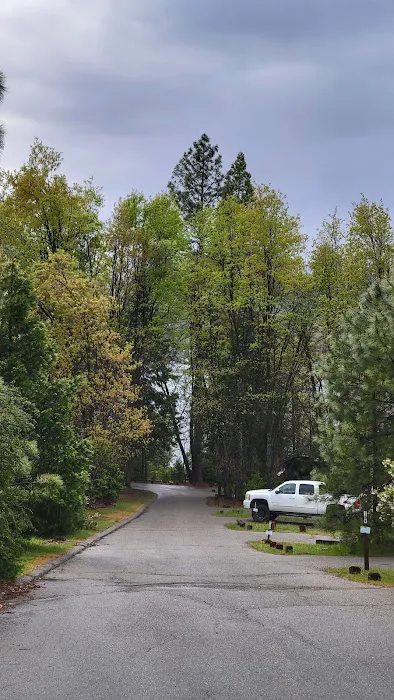Lupine Campground 2