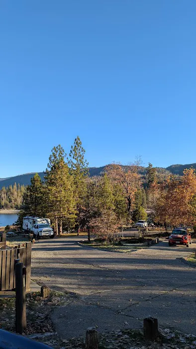 Lupine Campground 0