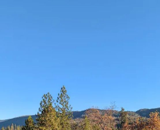 Lupine Campground
