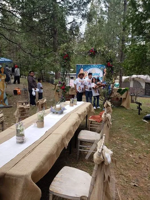 Lupine Spring Cove 8