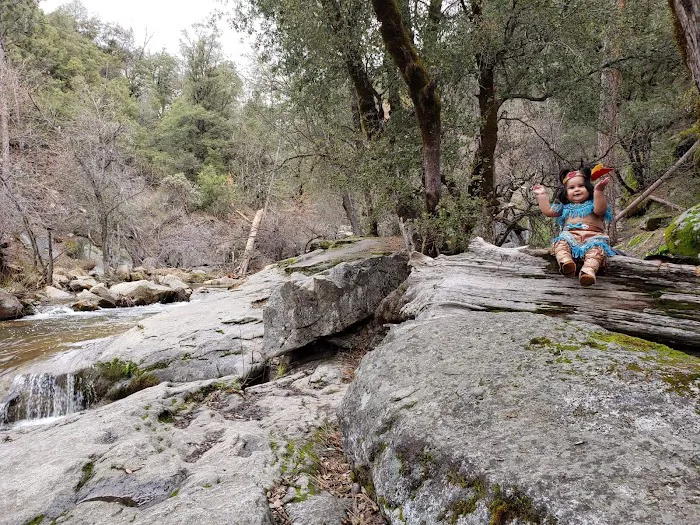 Lupine Spring Cove 1