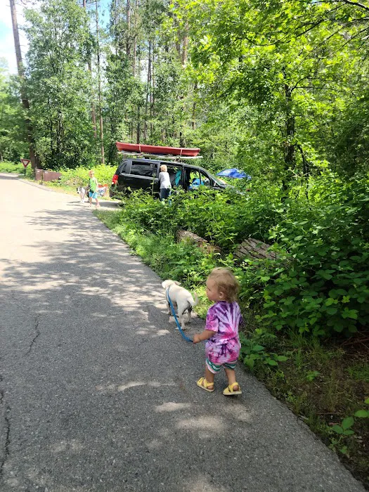 Lupine Spring Cove 2