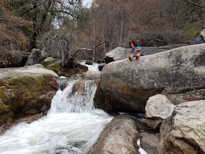 Lupine Spring Cove 3