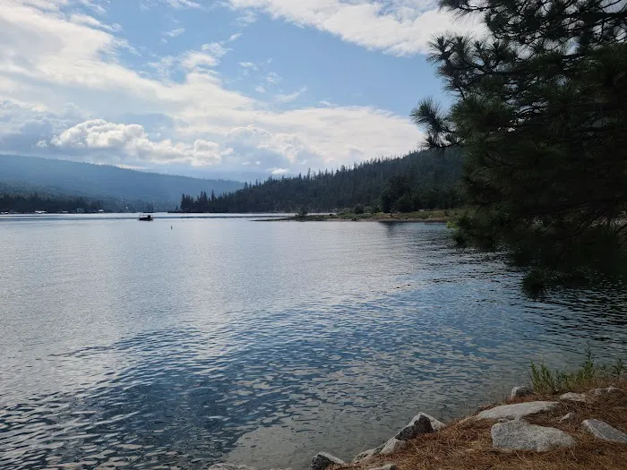 Lupine Spring Cove 9