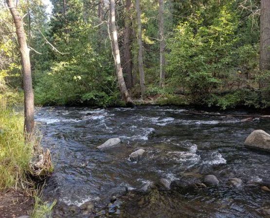 PSEA Camp Wishon