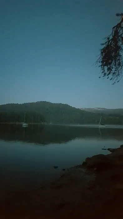 Bear Cove Picnic Site 1