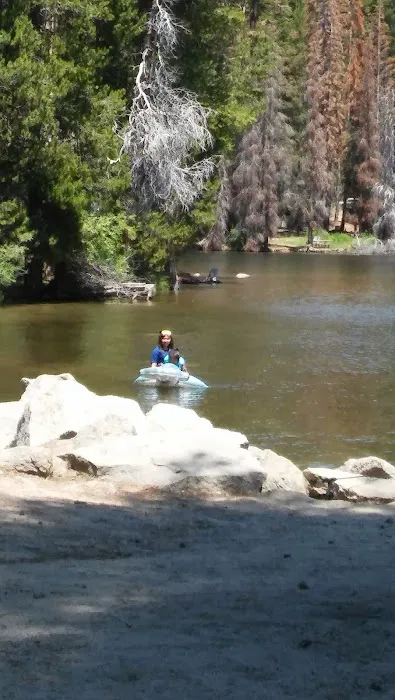 Bear Cove Picnic Site 2