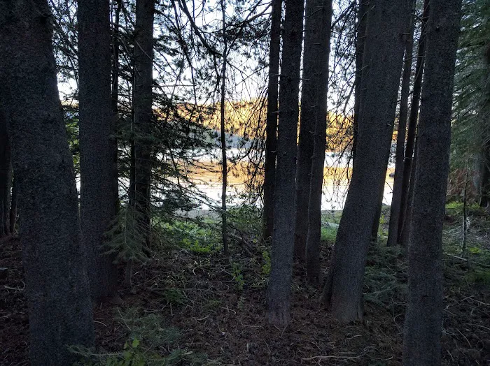 Bear Cove Picnic Site 0