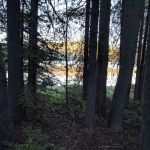 Bear Cove Picnic Site