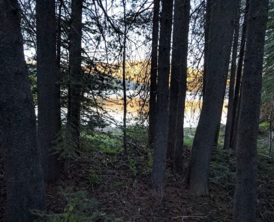 Bear Cove Picnic Site