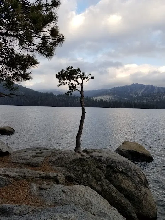 Bear Cove Picnic Site 6