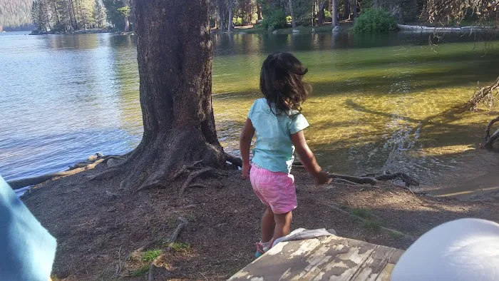 Bear Cove Picnic Site 9