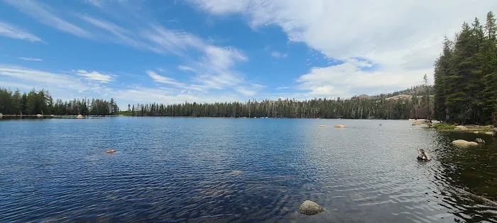 Cold Springs Summit Interpretive Site (minor) (recgovnpsdata) 5