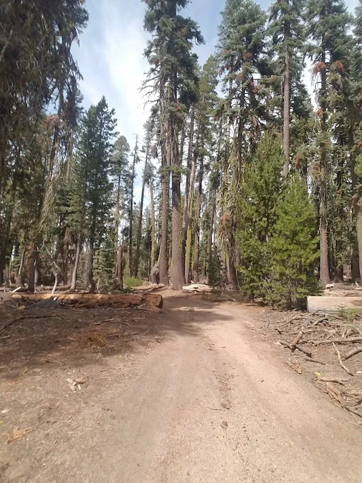Cold Springs Summit Interpretive Site (minor) (recgovnpsdata) 4