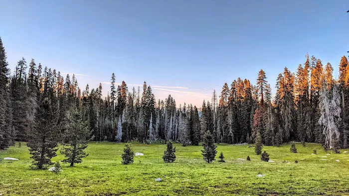 Cold Springs Summit Interpretive Site (minor) (recgovnpsdata) 7