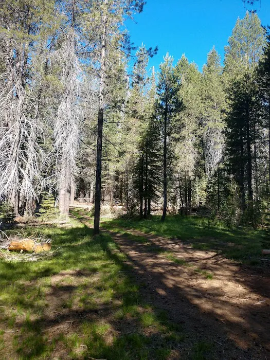 Far Meadow 1