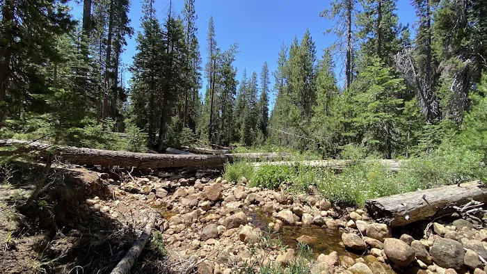 Bowler Group Campground 2