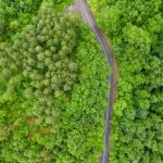 US Sierra National Forest