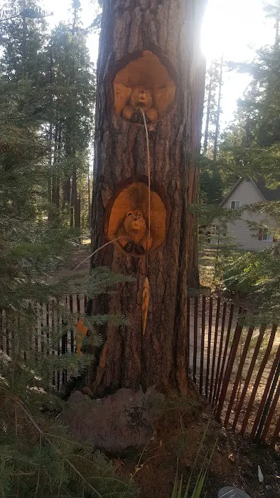Usda Forest Services 2