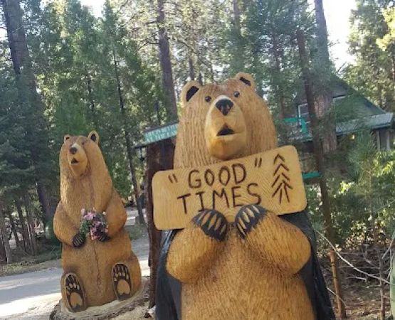 Usda Forest Services