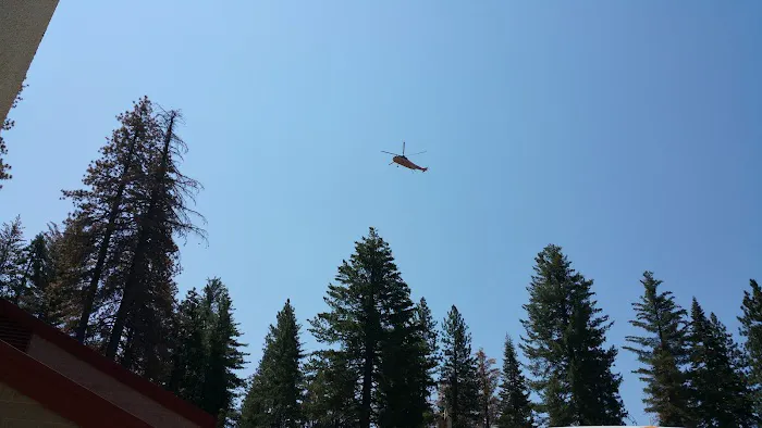 Usda Forest Services 1