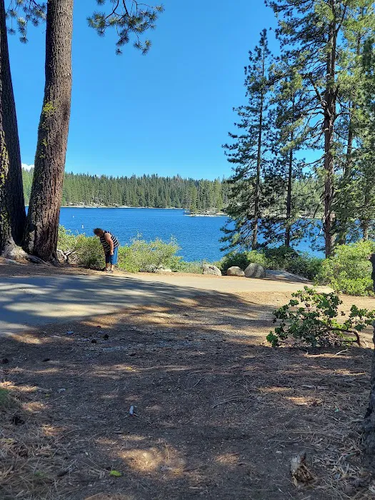 Camp Edison 6