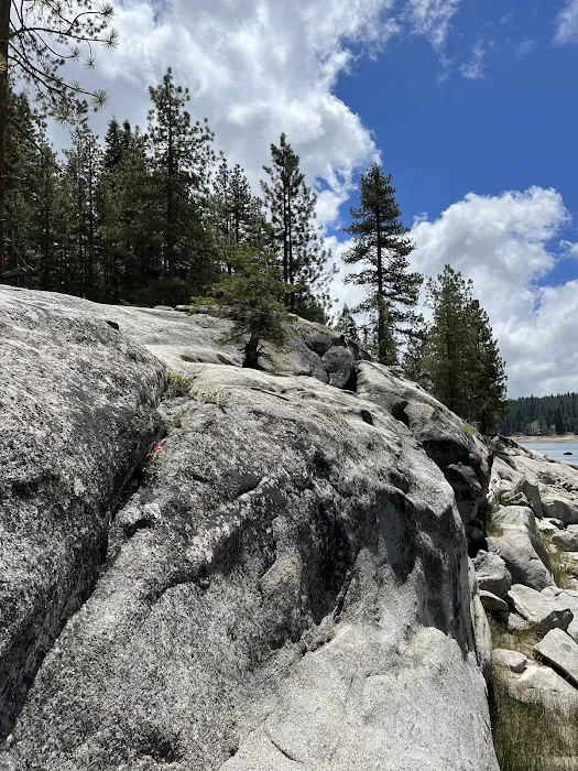 Camp Edison 5