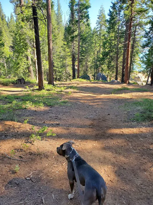 Camp Edison 3