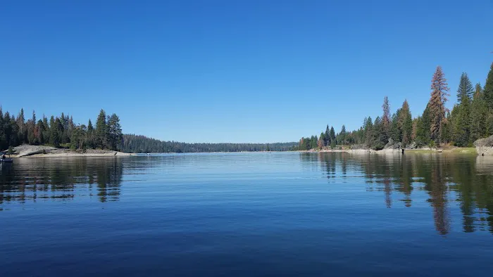Camp Edison 2