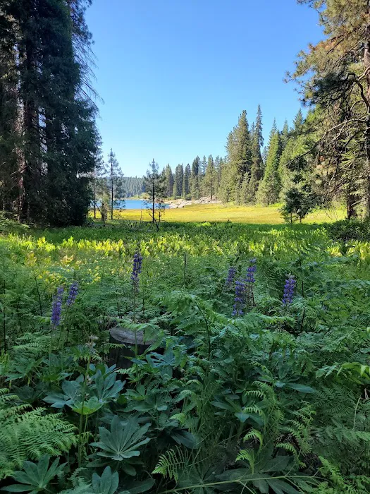 Dora Belle Campground 5
