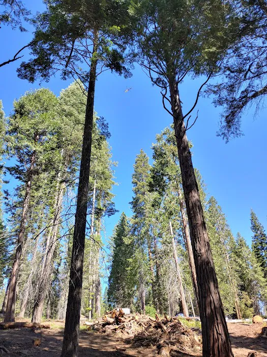 Dora Belle Campground 6