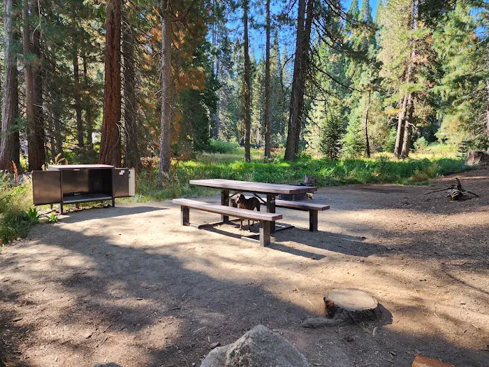 Dora Belle Campground 1